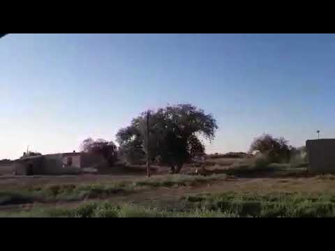 Видео: ходжейли аму дарья совхозы