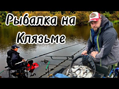 Видео: Рыбалка на Клязьме . Осень 2025. Фидер #рыбалка 