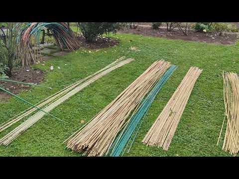 Видео: Что использую для укрытия роз. Ленинградская область. Осень 2023.