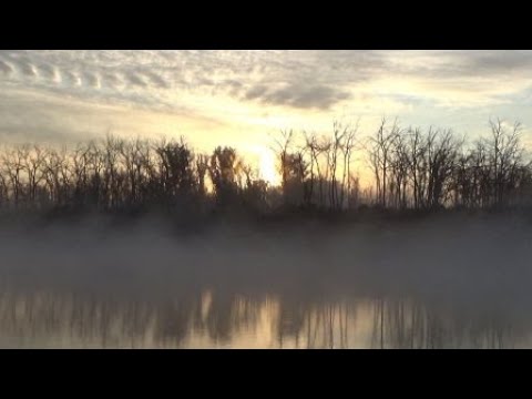 Видео: Рыбалка 21 мая на реке Дон .  Карась клевал Сазан нет