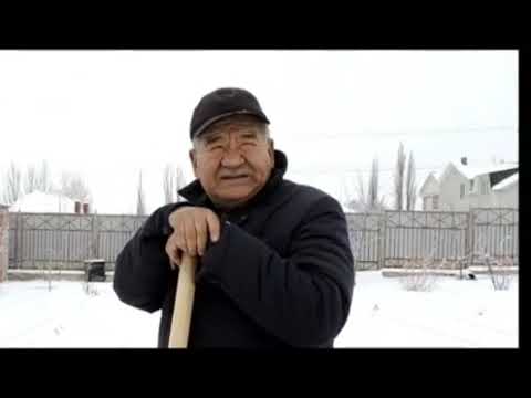 Видео: 22 октября 2025 г. ТОКТОРДОН ТАҢКЫ ТАМАША 😂😂😂