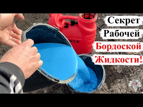 Видео: СЕКРЕТ Изготовления БОРДОСКОЙ ЖИДКОСТИ!
