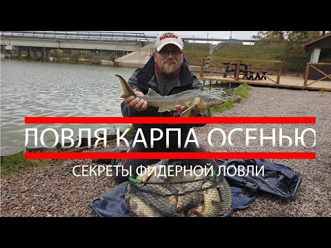 Видео: Ловля карпа поздней осенью на фидер.  Прикормка, тактика,секреты.