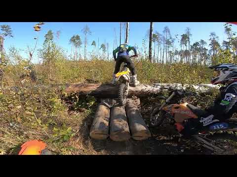 Видео: ДР клуба КТМ Осеченки | 14.09.24 | Бурелом