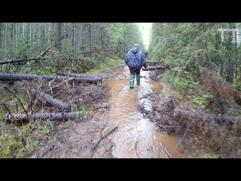 Видео: По Вишерскому тракту.   Заброшенный Гулаг