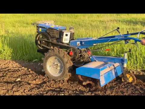 Видео: Тест фрези з мотоблоком Кентавр МБ1012Д на кам’янистому ґрунті. Грунт — як асфальт з камінням!