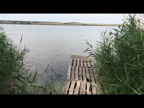 Видео: вдхр. Волчьи Ворота. Рыбалка с ночевкой. Попали на жор карася. Ставропольский край
