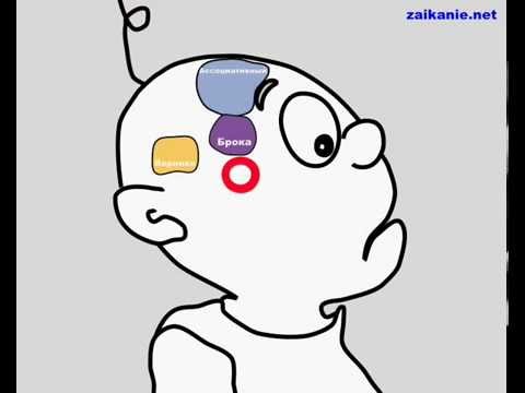 Видео: Мозг, речевой аппарат и заикание v2