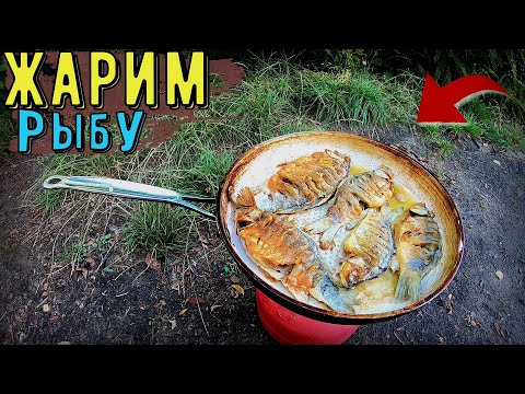 Видео: Жарим рыбу! Ловля карпа и карася на Днепре.