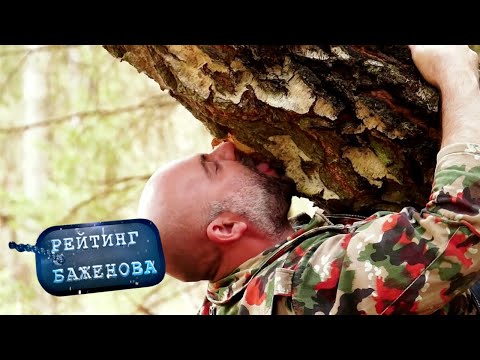 Видео: Рейтинг Баженова. Дикарь. Погода в доме 🌏 Моя Планета
