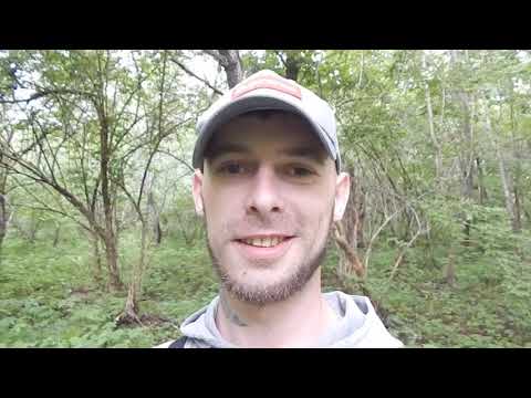 Видео: улица на которой мы росли