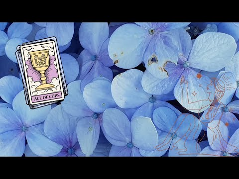 Видео: ❤️Какво беше преди между нас? 💛Какво е сега и какво ще бъде? 💙