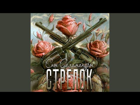 Видео: Стрелок