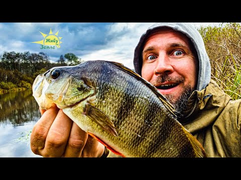 Видео: Рыбалка на Отводной поводок! Такой жор что поверить сложно!