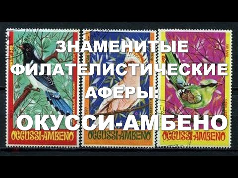 Видео: Афера "Окусси-Амбено"