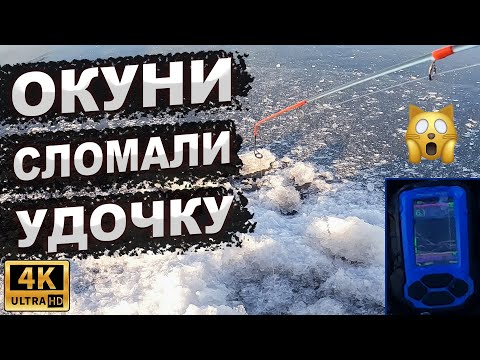 Видео: ЛОВЛЯ ОКУНЯ ЗИМОЙ. Рыбинское водохранилище
