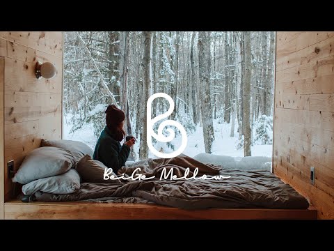 Видео: Мягкий снежный день 🎁 Уютные песни New Age, чтобы согреться