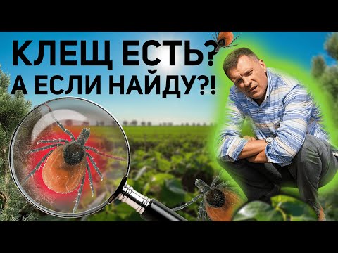 Видео: ХОЧЕШЬ ЧИСТОЕ ОТ СОРНЯКОВ ПОЛЕ? ПОСМОТРИ ВИДЕО ✅ УНИКАЛЬНЫЙ ГЕРБИЦИД ОТ @betaren_ru