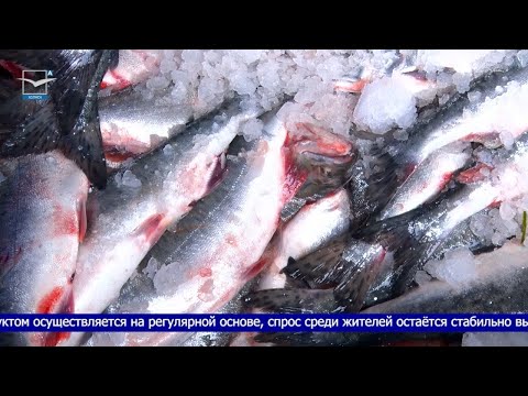 Видео: 100 рублей за килограмм