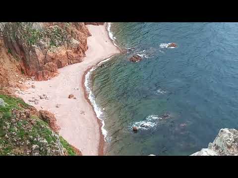 Видео: Самая красивая бухта на о. Шкота. Это 100% стоит увидеть!!!!