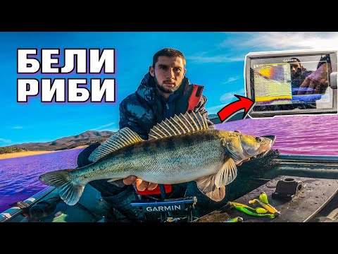 Видео: БЕЛИ РИБИ  на джиг ! Кои са перфектните условия ?