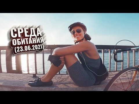 Видео: Среда Обитания (23.06.2021)