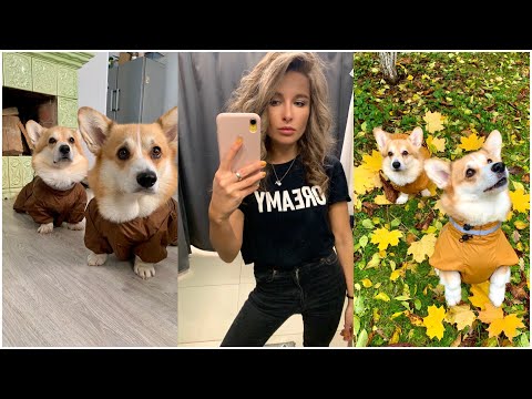 Видео: Примеряем новые комбинезоны 🤩 Я покрасилась 👱🏻‍♀️Фетиш Сэдди | VLOG