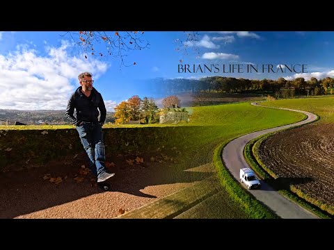 Видео: Зимнее обновление Паскаля и я останавливаю движение из-за потерявшейся собаки