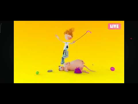 Видео: Вредно блог наоборот (Про кота)