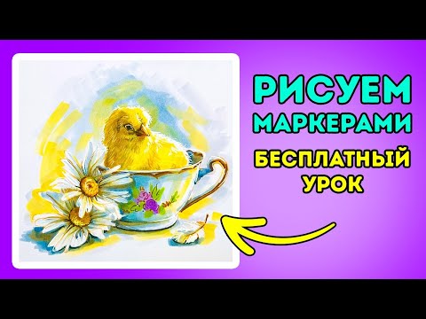 Видео: Рисуем МАРКЕРАМИ цыпленка в кружке и ромашки!