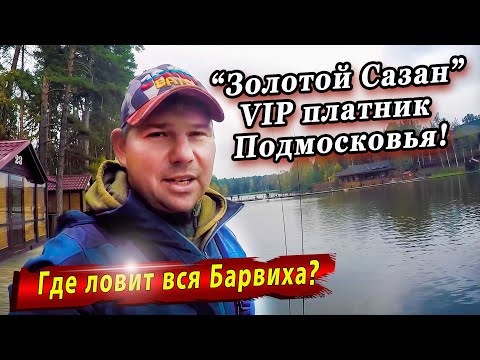 Видео: Рыбалка в Золотом Сазане | Ловля форели на разные типы приманок | Поиск и горизонт