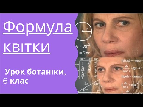 Видео: ЯК НАПИСАТИ ФОРМУЛУ КВІТКИ. МАЛЮЄМО ДІАГРАМИ. ЧАЙ З ЧАШОЛИСТКІВ