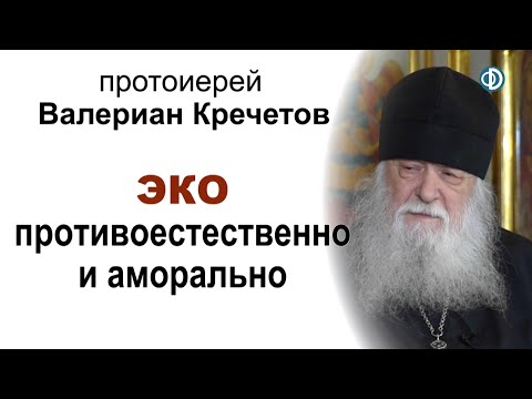 Видео: ЭКО противоестественно и аморально. Протоиерей Валериан Кречетов