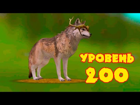 Видео: Качаем ВОЛКА до уровня 200 в WildCraft