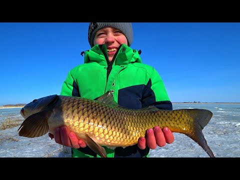 Видео: ЭТО ВЕСЕННИЙ КЛЁВ | ТОЛЬКО ПРИЕХАЛИ , а РЫБА СРАЗУ НАЧАЛА ЖРАТЬ НАШИ ПРИМАНКИ | БЕШЕНЫЙ КЛЁВ КАРАСЯ