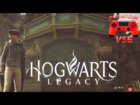 Видео: задача профессора чесноук 1 \ hogwarts legacy ядовитая тентакула \ hogwarts legacy мандрагора