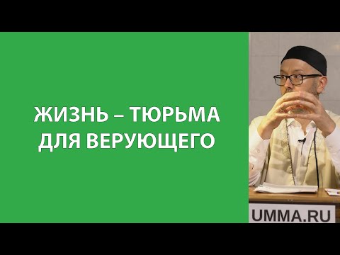 Видео: Мертвая хватка и холодный ум