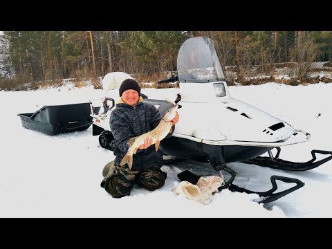 Видео: СИБИРЬ. С ЩЕНКАМИ ПО НАСТУ. ПРОВЕРЯЕМ ЖЕРЛИЦЫ НА ЩУКУ. ТЕСТИРУЕМ БЕНЗОПИЛУ KROFF.