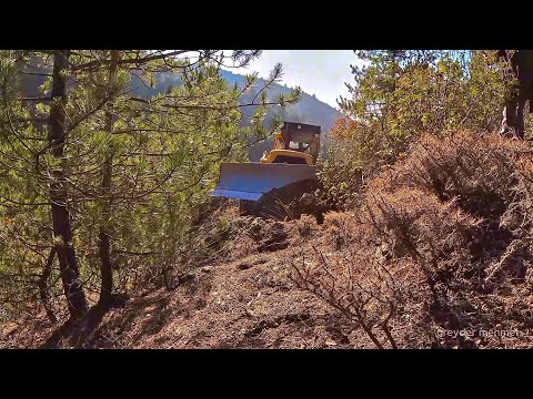 Видео: Как хищный бульдозер Caterpillar D7g ломает камни и строит новые дороги #bulldozer