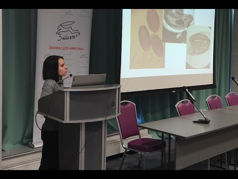 Видео: Паразитология. Курносова О.В. Часть 1. Гельминты мелких домашних животных. Семинар Зайцев+ 11.03.21