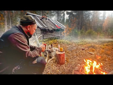 Видео: Лёг спать в избушке в глуши и началось. Таёжная жизнь на дикой реке. Сбор клюквы в Карелии