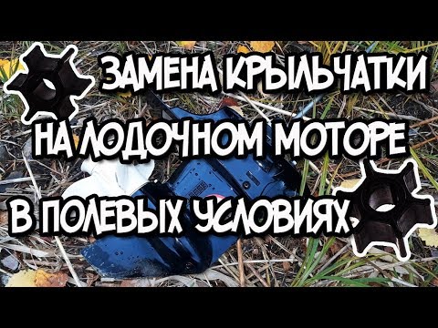 Видео: Замена крыльчатки на лодочном моторе. Как провести замену крыльчатки помпы  лодочного мотора