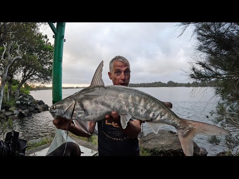 Видео: наземный транспорт по реке Маклей