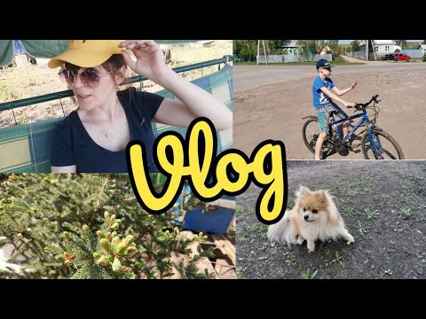 Видео: 🏡Семейный Влог// Выходные на природе 🌿 Чудесно отдохнули! ☀️Вакумируем мясо на заморозку🥩