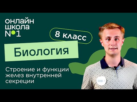 Видео: Строение и функции желез внутренней секреции. Видеоурок 35. Биология 8 класс
