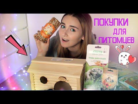 Видео: ЗООПОКУПКИ! \ ПОКУПКИ ДЛЯ КРЫС и КРОЛИКА! \ ПОКУПКИ ИЗ ЗООМАГАЗИНА! \ ОБУСТРАИВАЕМ КЛЕТКУ ДЛЯ КРЫС!