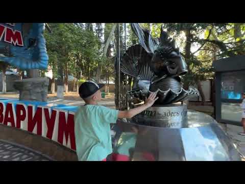 Видео: Утро на море город Алушта.Крым 2025г.