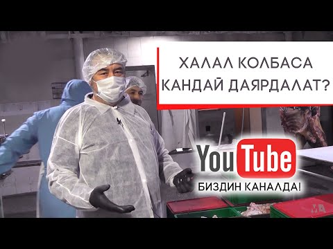 Видео: Мыктыбек Арстанбек / ХАЛАЛ КОЛБАСА КАНДАЙ ДАЯРДАЛАТ?