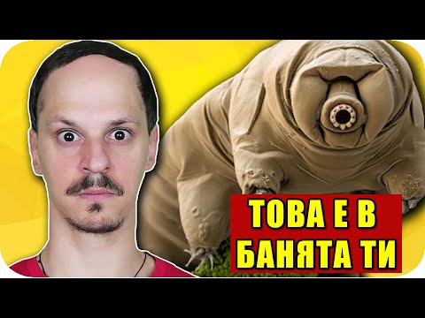 Видео: ТОП 10 СЪЩЕСТВА, КОИТО ЖИВЕЯТ В ТЯЛОТО И ДОМА ВИ