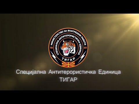 Видео: САЕ ТИГАР 2024 - 2025